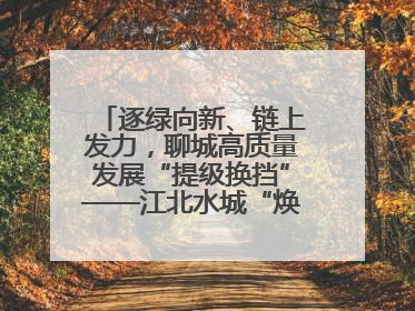 逐绿向新、链上发力，聊城高质量发展“提级换挡”——江北水城“焕新”记